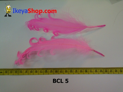 bulu curly BCL 5   feather  large2